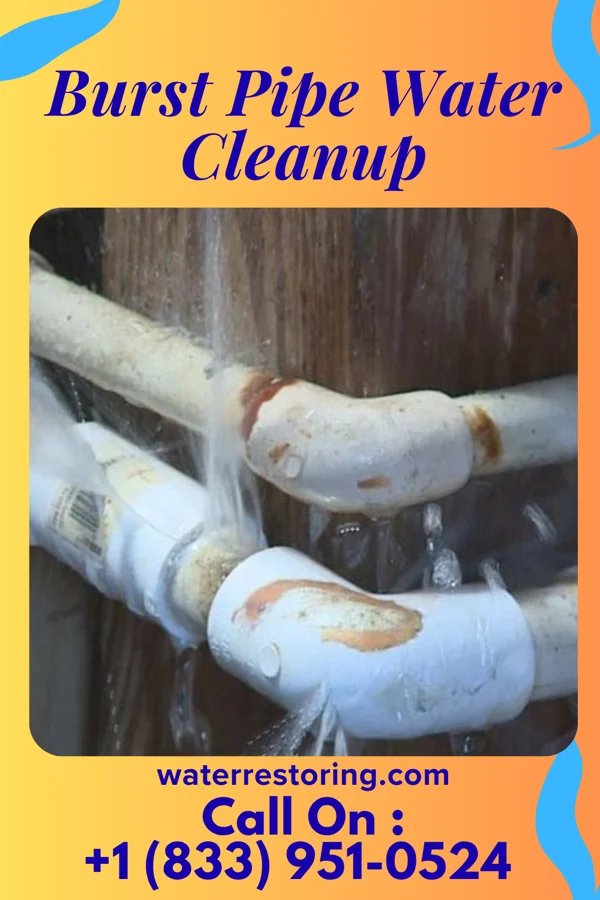 Burst Pipe Water Cleanup in South Fork Estates, TX