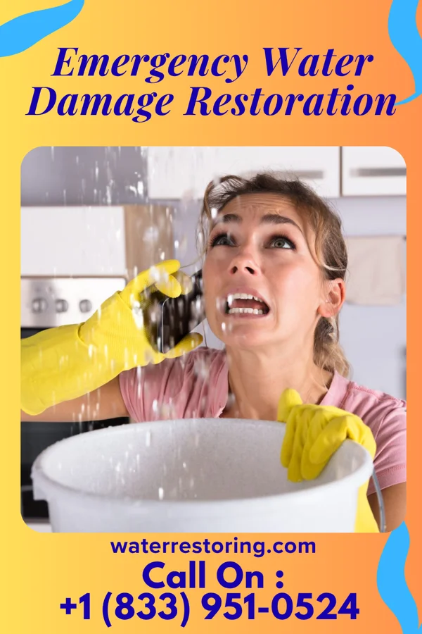 Emergency Water Damage Restoration in South Fork Estates, TX